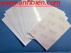 Giấy in Ảnh Bảo Long A6